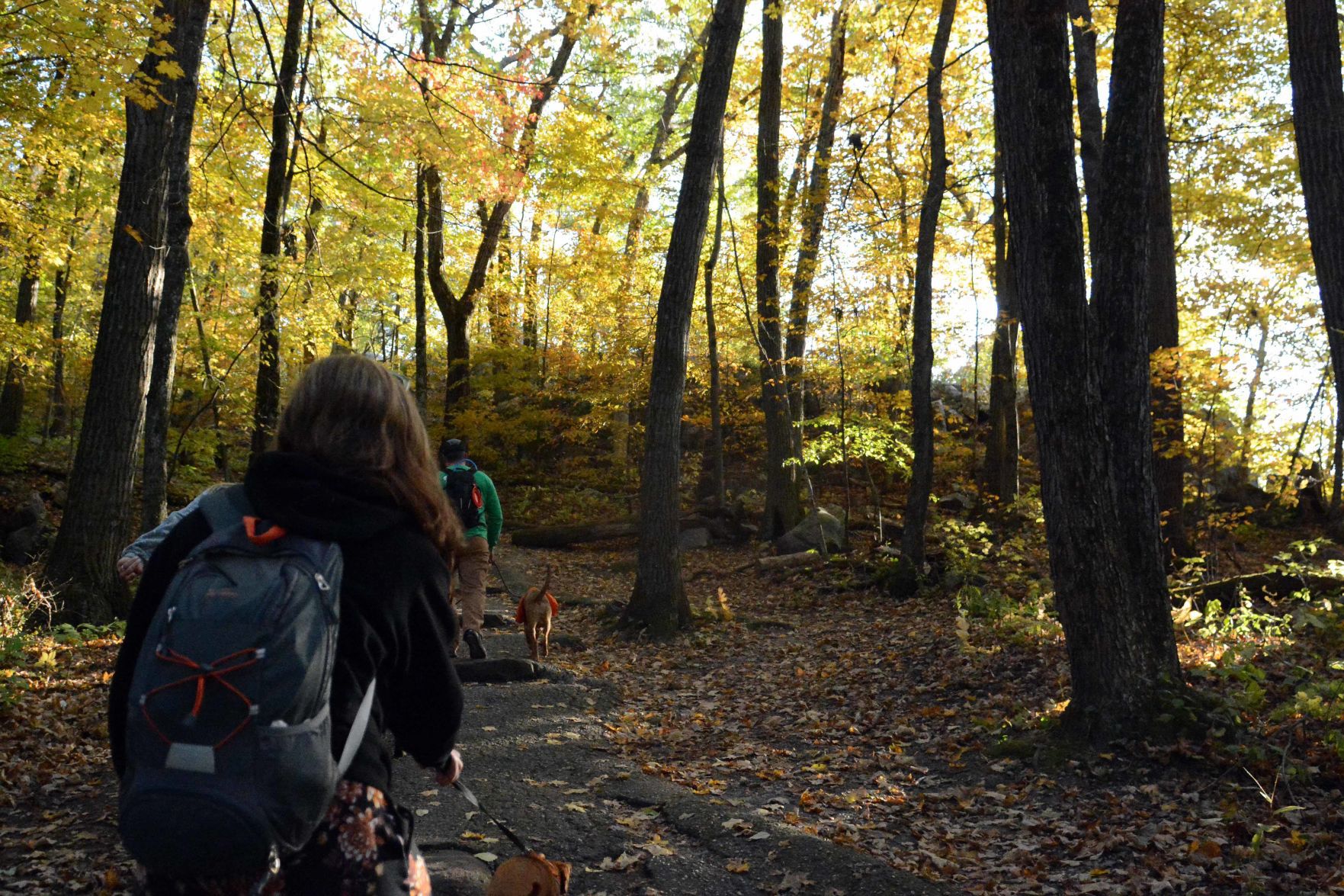 Devil's Lake shows autumn colors, Oct. 18